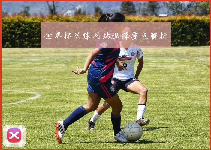 世界杯买球网站选择要点解析