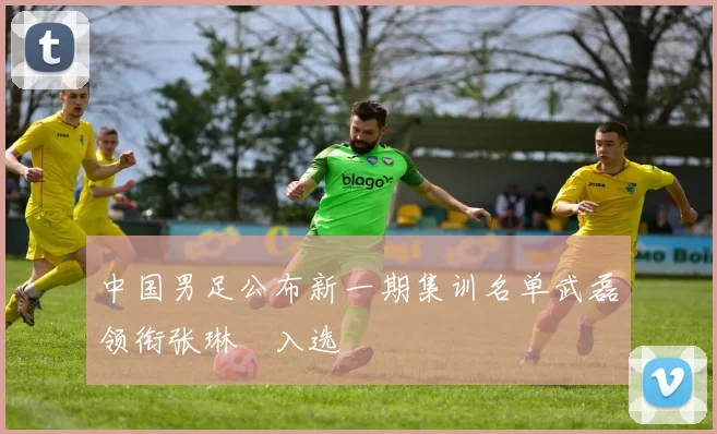 中国男足公布新一期集训名单武磊领衔张琳芃入选