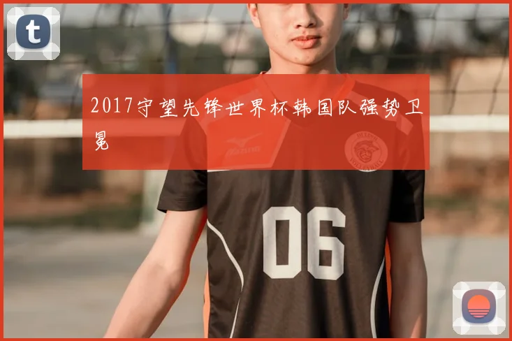 2017守望先锋世界杯韩国队强势卫冕