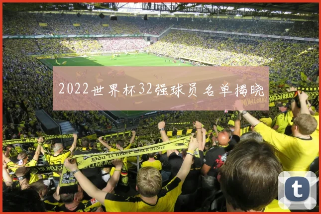 2022世界杯32强球员名单揭晓